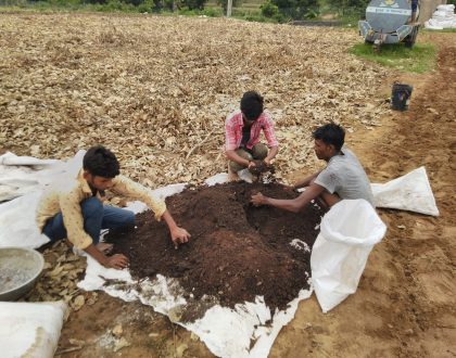 Organic Farmer Training & Development