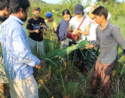 Education and Agro Tourism